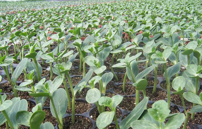 1513329333205493CcnX.jpg 圖片80.jpg