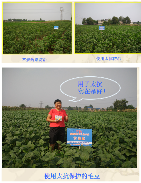 1513332430999237XAQQ.png blob.png