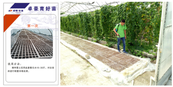 1515668143336856AJVt.png blob.png