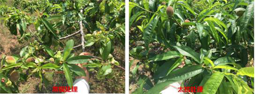 1527748230998269upiu.png 圖片4.png