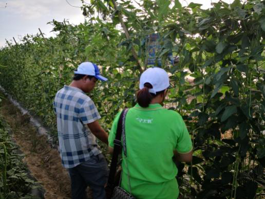 1545295763361812CjGM.png 圖片12.png