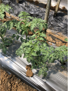 1566437948202987S1Yq.png 圖片3.png