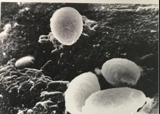 1635260976202476NGRl.jpg 微信圖片_20211026231119.jpg