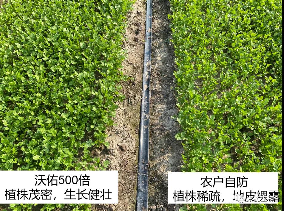 1635261017136319pX7V.jpg 微信圖片_20211026231124.jpg